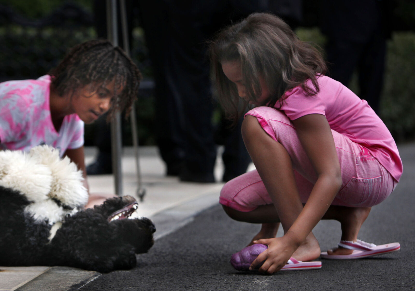 Obama Dog